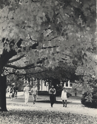 Last days of fall on the Radford campus, 1986.