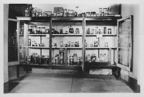 3.17.16: Dr. Burch's exhibit of mollusks as part of an exhibit for the Virginia Academy of Science, August 1937