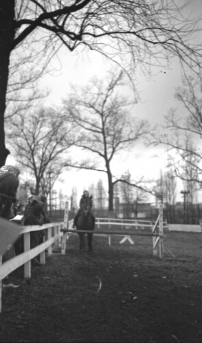 3.17.4: Jumping Exhibition, Horse Circus, December 10, 1938