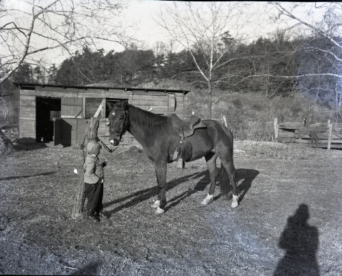 Child and Horse.
