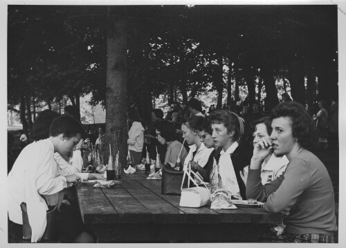 3.4.12: Students at picnic