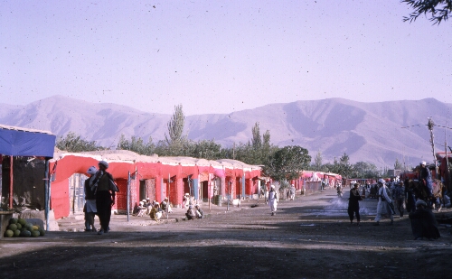 A Trip from Herat to Kabul via the Hazarijat.  Brainard_3Q006