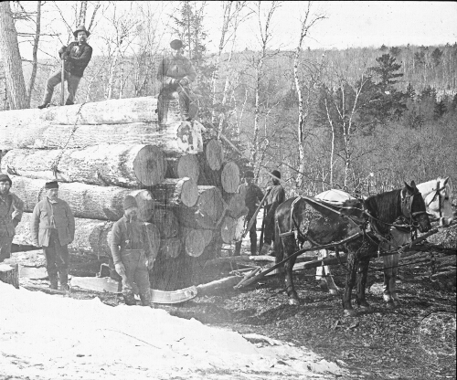 A Load of Logs Near Kettle River Landing, Minnesota