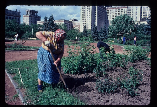 Woman Working Public Garden, Moscow