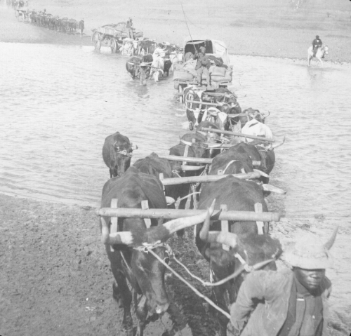Army Transports Fording the Vaal River, South Africa