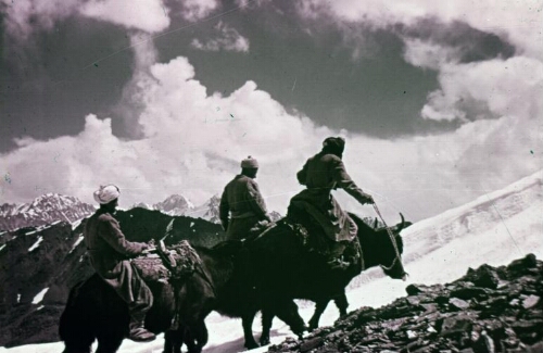 3A081 Riding yaks in the Pamir Mountains