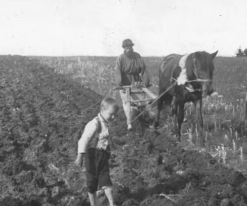 A Russian Peasant Plowing