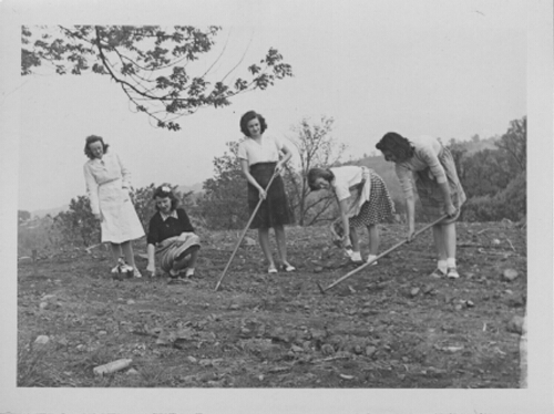 Students working in Victory Garden during World War II
