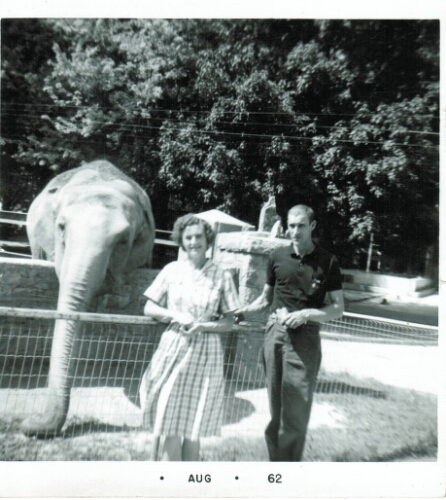 Harley and Sally Ann Cordle visiting the  Chicago Zoo, August 1962