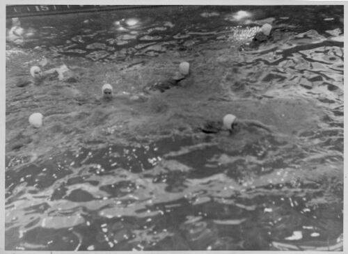 3.1.11: Swimmers in the Radford College pool