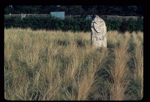 Prehistoric Stone Carving, Botanical Gardens, Donetsk, USSR