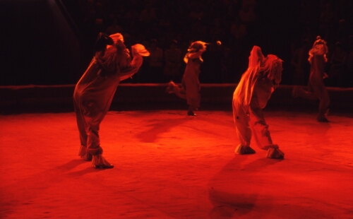 Circus- Volgograd, USSR