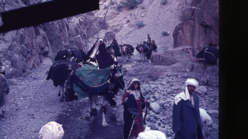 A Trip from Herat to Kabul via the Hazarijat.  Brainard_3Q016
